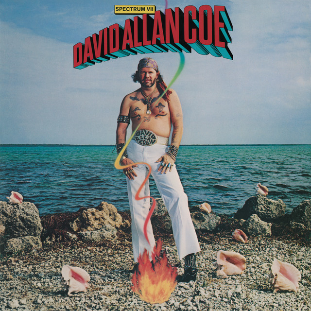 کاور آهنگ Sudden Death از David Allan Coe