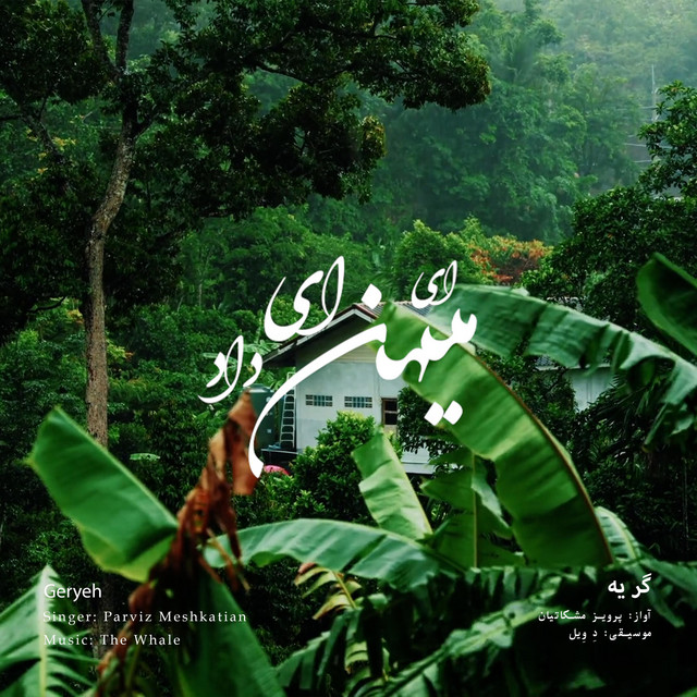 کاور آهنگ گریه - بازآفرینی اثر پرویز مشکاتیان از دِ وِیل