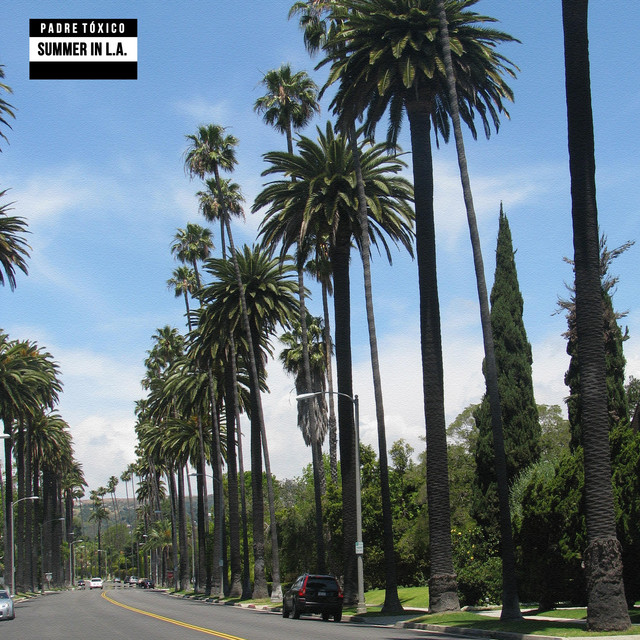 کاور آهنگ Summer in L.A. از Padre Toxico