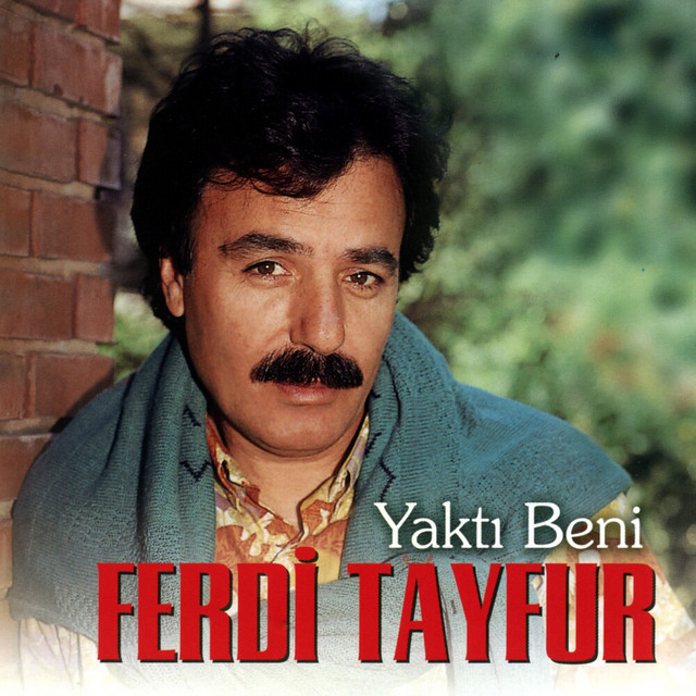 کاور آهنگ Sana Benziyor از Ferdi Tayfur