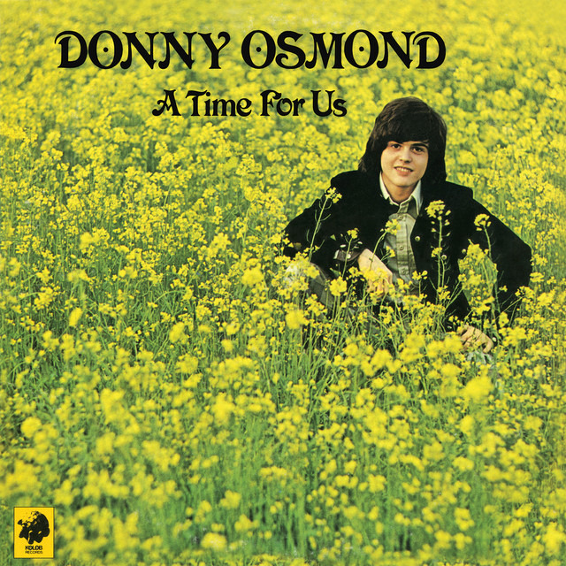 کاور آهنگ I Believe از Donny Osmond