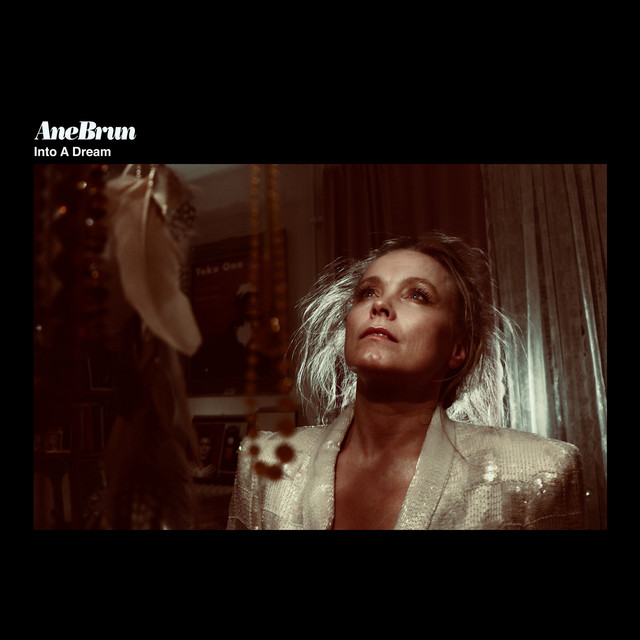 کاور آهنگ Into A Dream - Fran Hidden / Forstfodd از Ane Brun