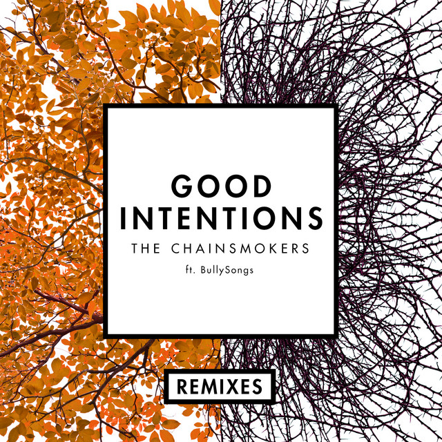 کاور آهنگ Good Intentions (DallasK Remix) (feat. BullySongs) از The Chainsmokers, BullySongs