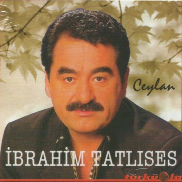 کاور آهنگ Hepsi Geçer از Ibrahim Tatlises