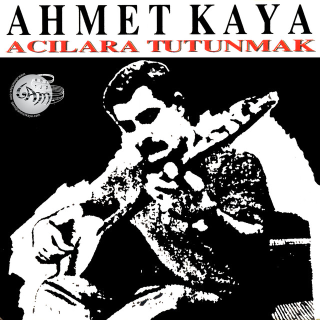کاور آهنگ Kadınlar از Ahmet Kaya