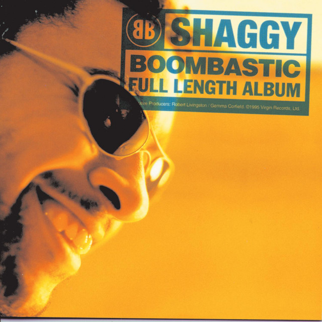 کاور آهنگ Why You Treat Me So Bad از Shaggy