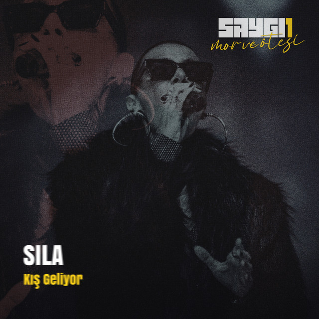 کاور آهنگ Kis Geliyor - Saygi1 از mor ve otesi, Sila