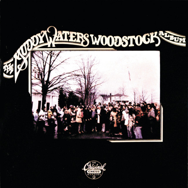 کاور آهنگ Born With Nothing از Muddy Waters