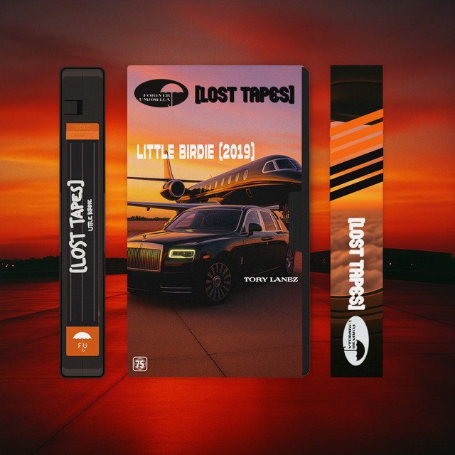 کاور آهنگ Little Birdie - Lost Tapes 2019 از Tory Lanez
