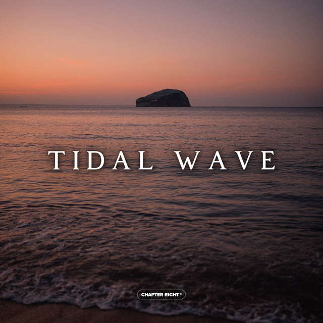 کاور آهنگ Tidal Wave از Ro