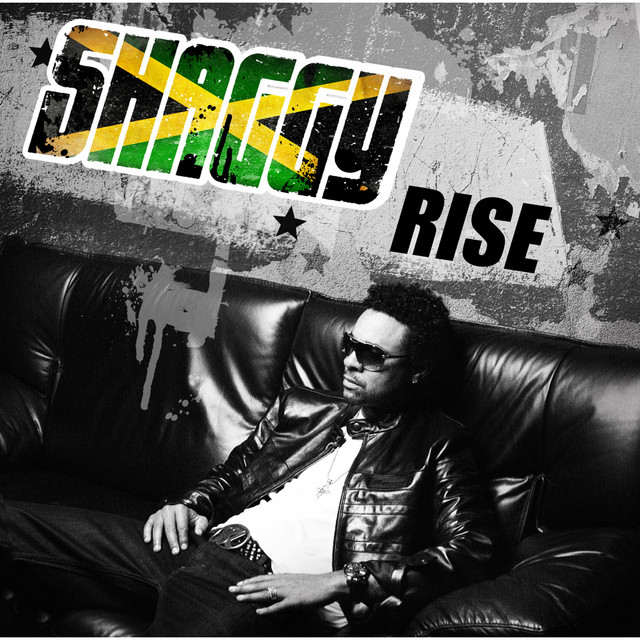 کاور آهنگ WorldCitizen - Radio Edit از Shaggy