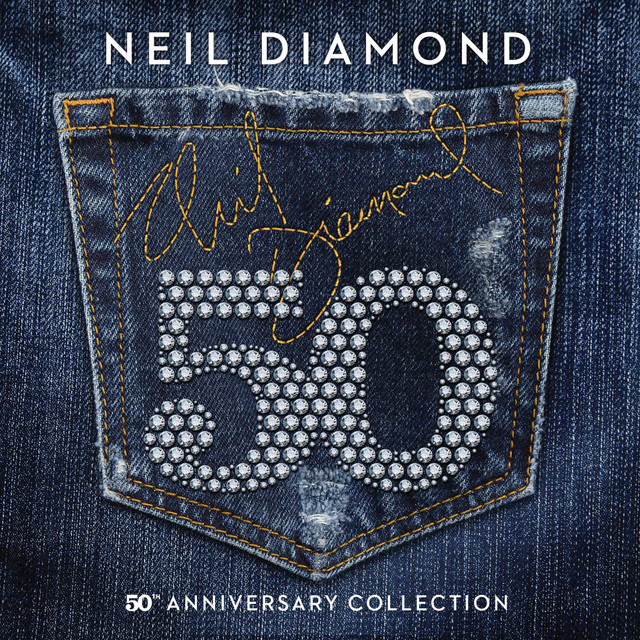 کاور آهنگ Beautiful Noise از Neil Diamond