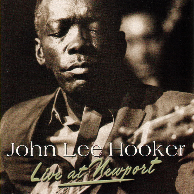 کاور آهنگ I Can't Quit You Baby - Live از John Lee Hooker