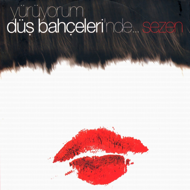 کاور آهنگ Kibir از Sezen Aksu