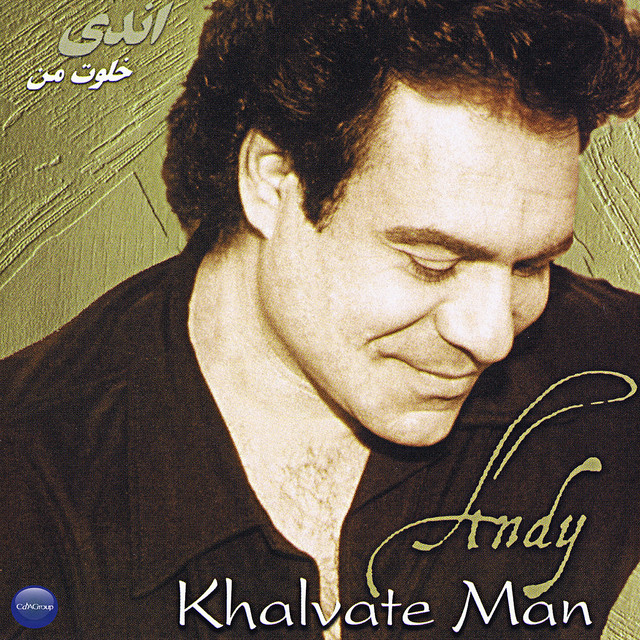 کاور آهنگ شقایق از اندی