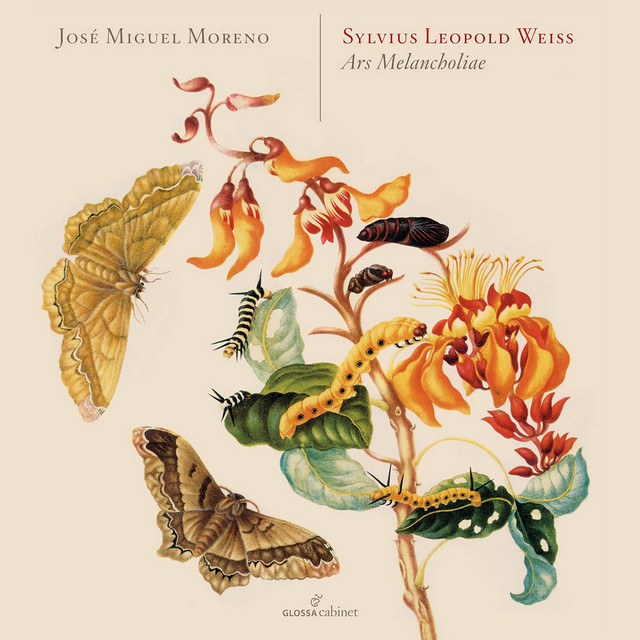 کاور آهنگ Lute Sonata No. 5 in G Major, WeissSW 5: IV. Bourée از Silvius Leopold Weiss, Jose Miguel Moreno