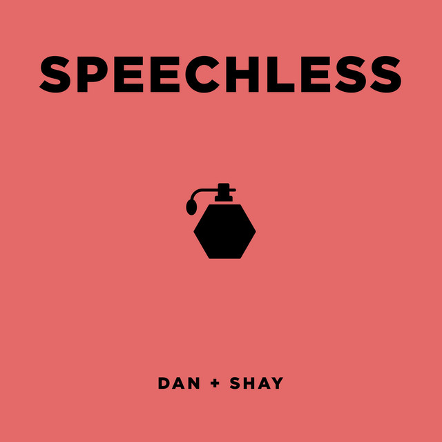 کاور آهنگ Speechless از Dan + Shay