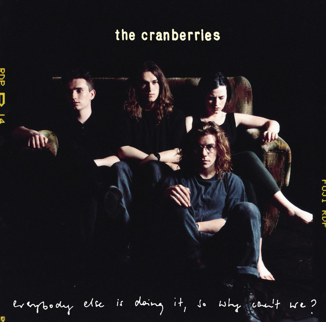 کاور آهنگ Wanted از The Cranberries