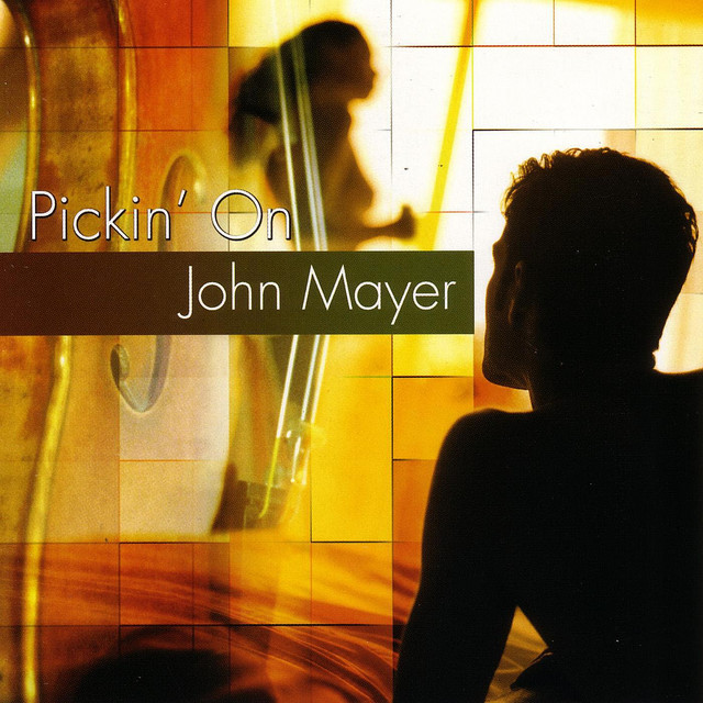 کاور آهنگ No Such Thing از Pickin' On Series