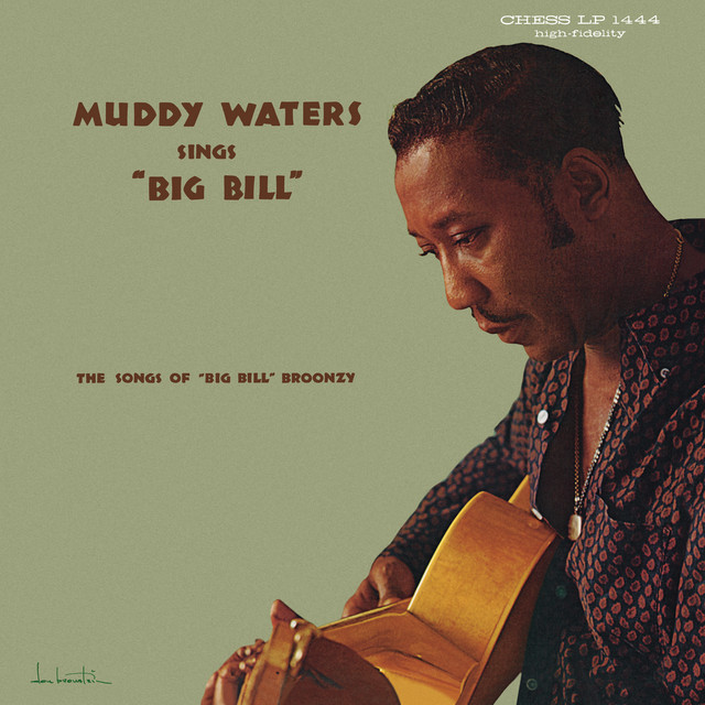 کاور آهنگ Southbound Train از Muddy Waters