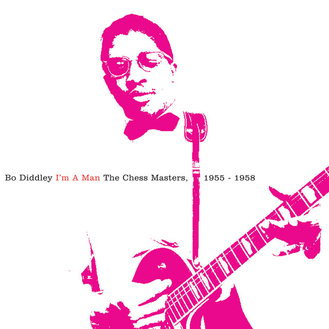 کاور آهنگ Who Do You Love از Bo Diddley