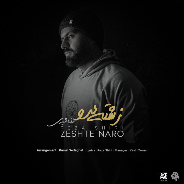 کاور آهنگ زشت نرو از رضا شیری