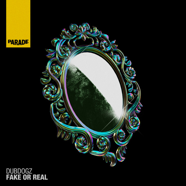 کاور آهنگ Fake or Real از Dubdogz