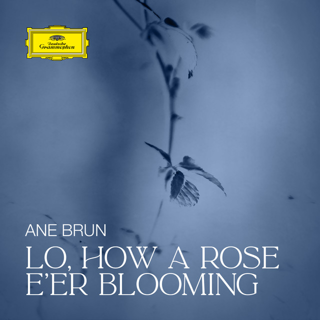 کاور آهنگ Lo, How a Rose E'er Blooming از Ane Brun