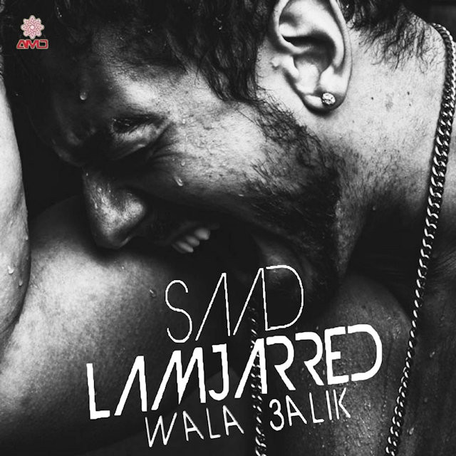 کاور آهنگ Salina از Saad Lamjarred