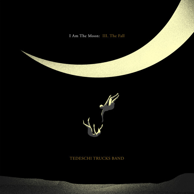 کاور آهنگ Gravity از Tedeschi Trucks Band