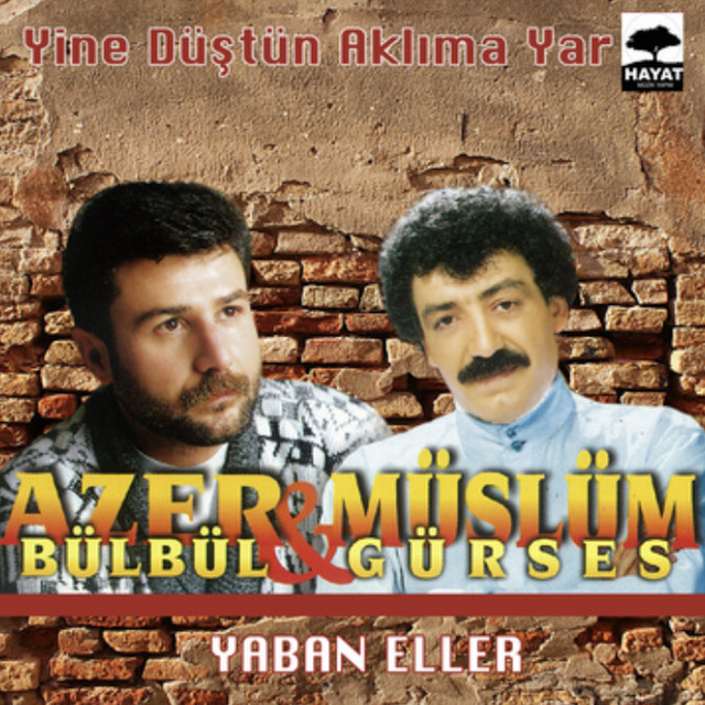 کاور آهنگ Eline Düştüm از Azer Bulbul