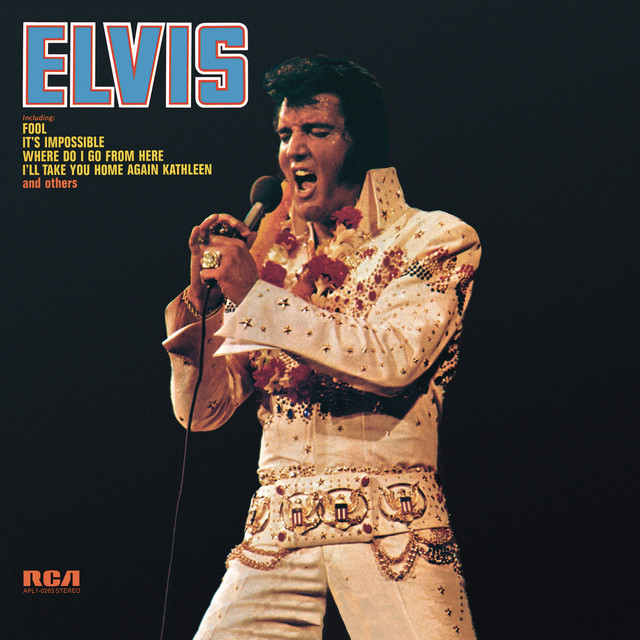 کاور آهنگ Burning Love از Elvis Presley