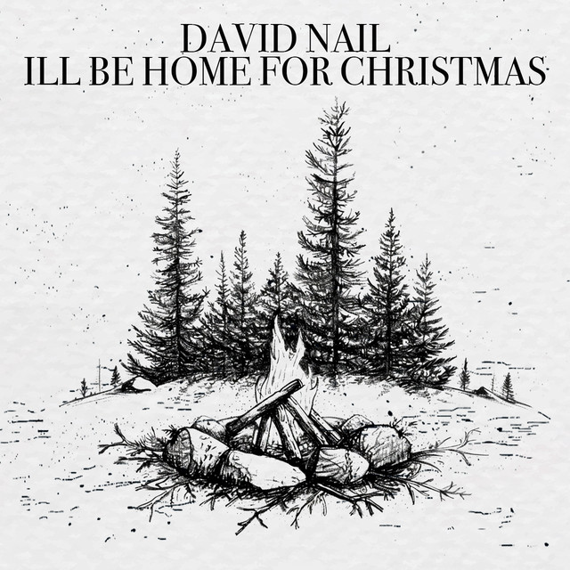 کاور آهنگ I'll Be Home for Christmas از David Nail