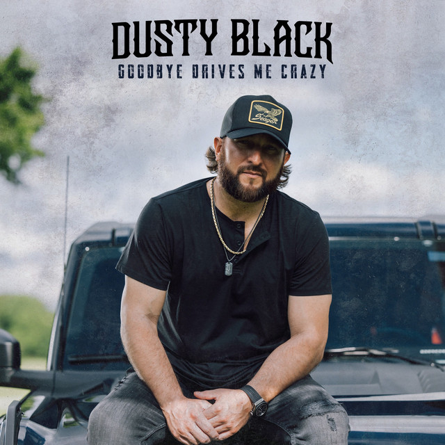 کاور آهنگ Goodbye Drives Me Crazy از Dusty Black