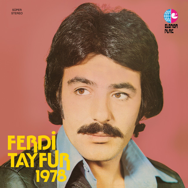 کاور آهنگ Bekledim Durdum از Ferdi Tayfur