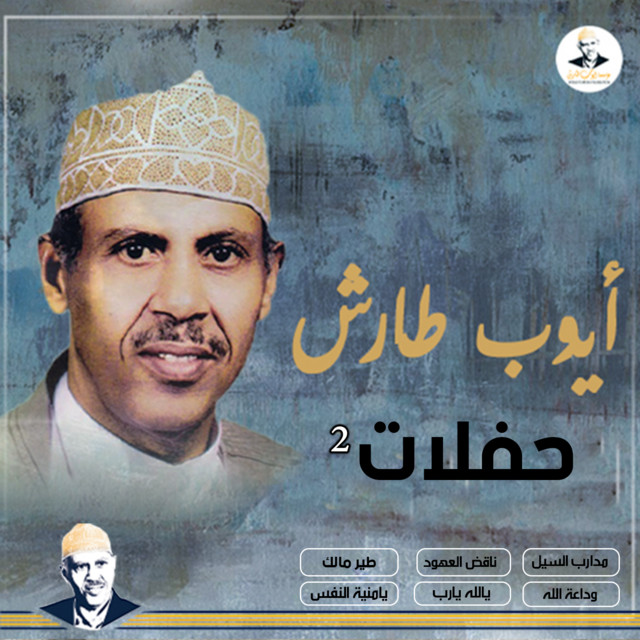 کاور آهنگ Tayr Malik از Ayoub Taresh