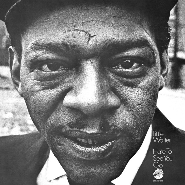 کاور آهنگ As Long As I Have You از Little Walter