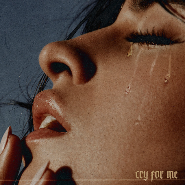 کاور آهنگ Cry for Me از Camila Cabello