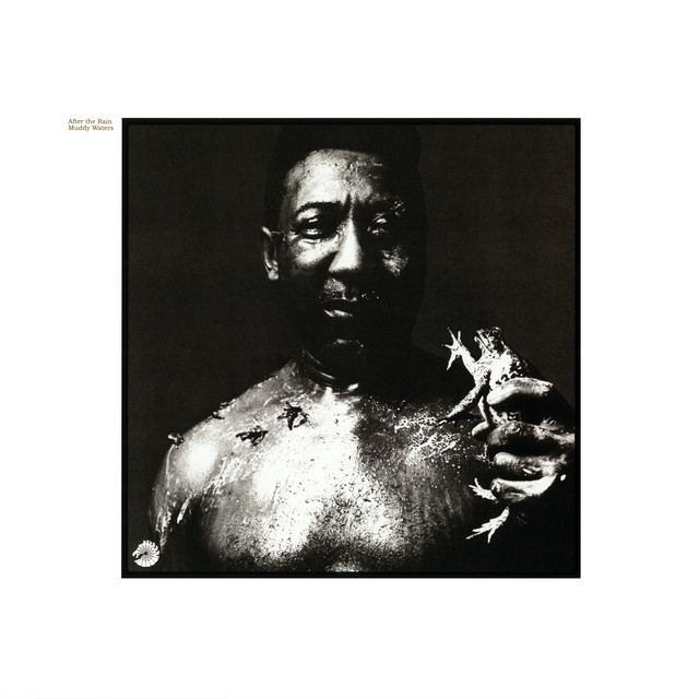 کاور آهنگ Honey Bee از Muddy Waters