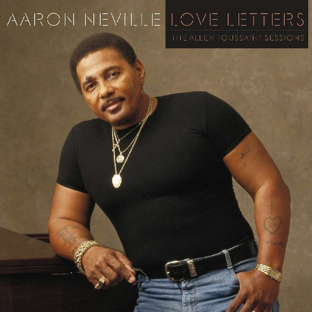 کاور آهنگ Been So Wrong از Aaron Neville