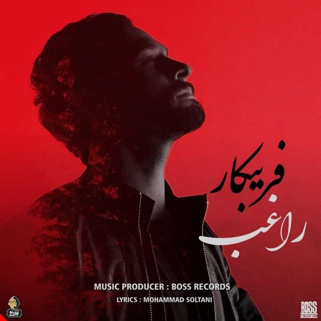 کاور آهنگ فریبکار از راغب