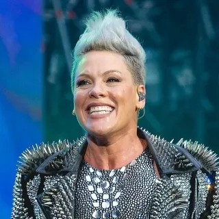 کاور آهنگ Secrets - Rescue Rangerz Remix از P!nk, Rescue Rangerz