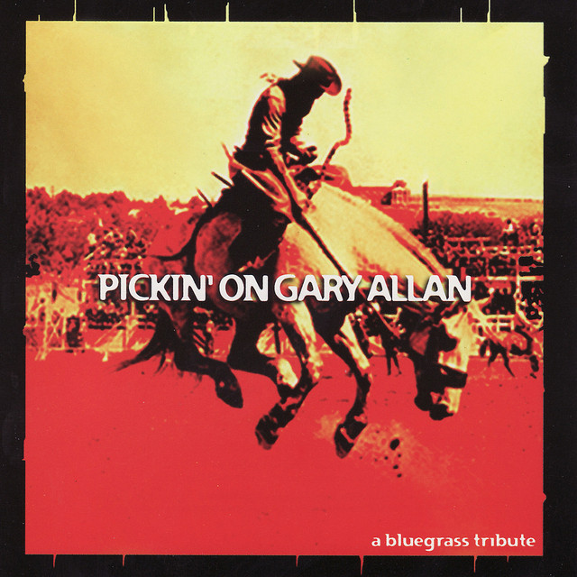 کاور آهنگ Her Man از Pickin' On Series