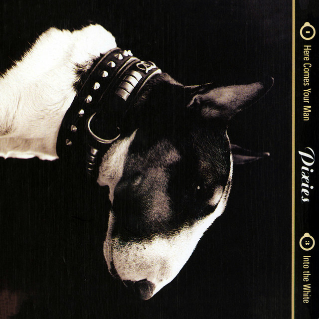 کاور آهنگ Bailey's Walk از Pixies