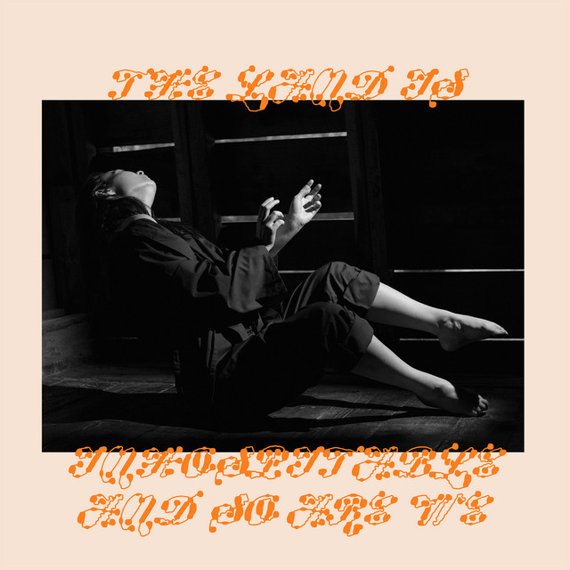 کاور آهنگ Bug Like an Angel از Mitski