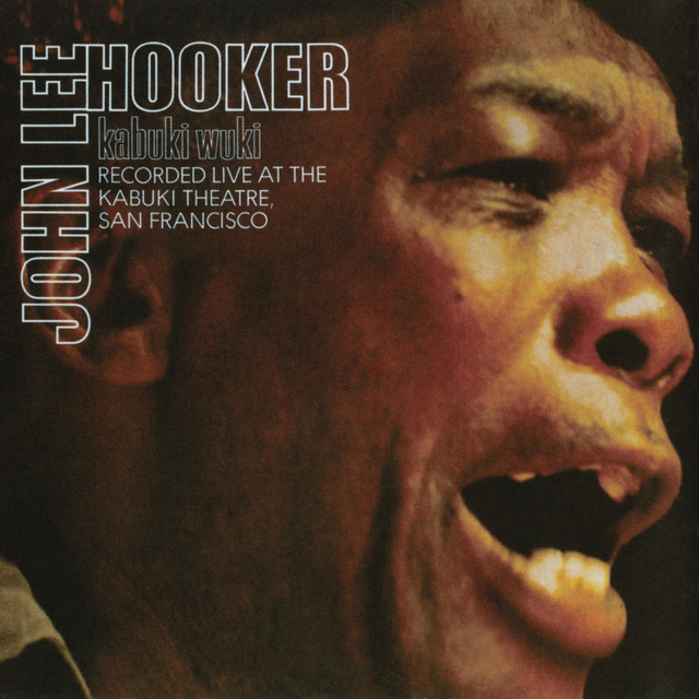 کاور آهنگ Hold It - Live از John Lee Hooker