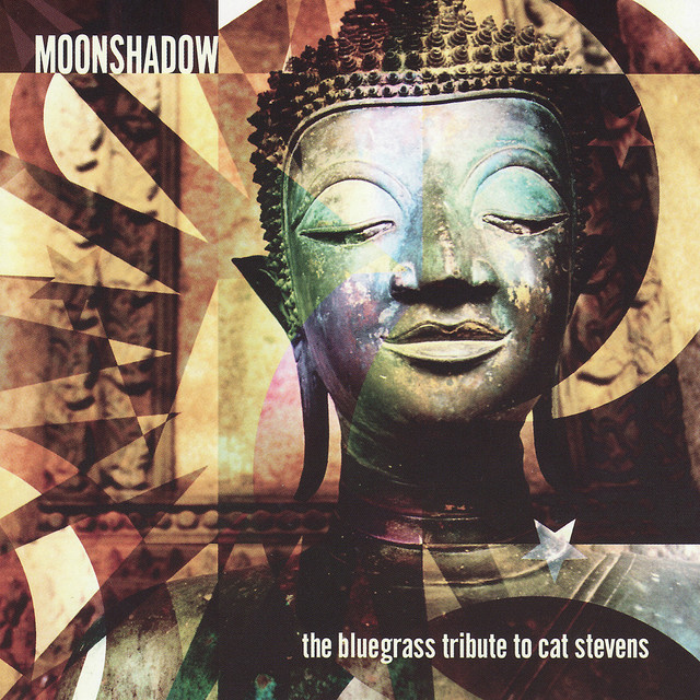 کاور آهنگ Moonshadow از Pickin' On Series