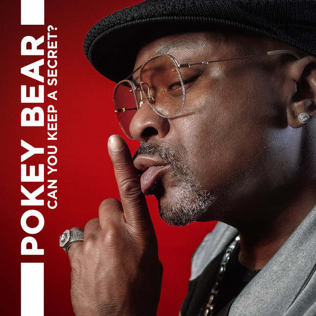 کاور آهنگ Can You Keep a Secret? از Pokey Bear