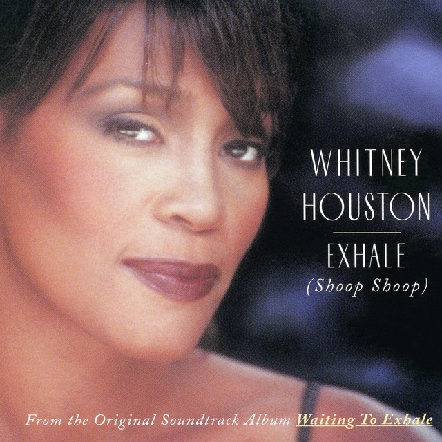 کاور آهنگ It Isn't, It Wasn't, It Ain't Never Gonna Be (with Whitney Houston) - Album Edit از Whitney Houston, Aretha Franklin