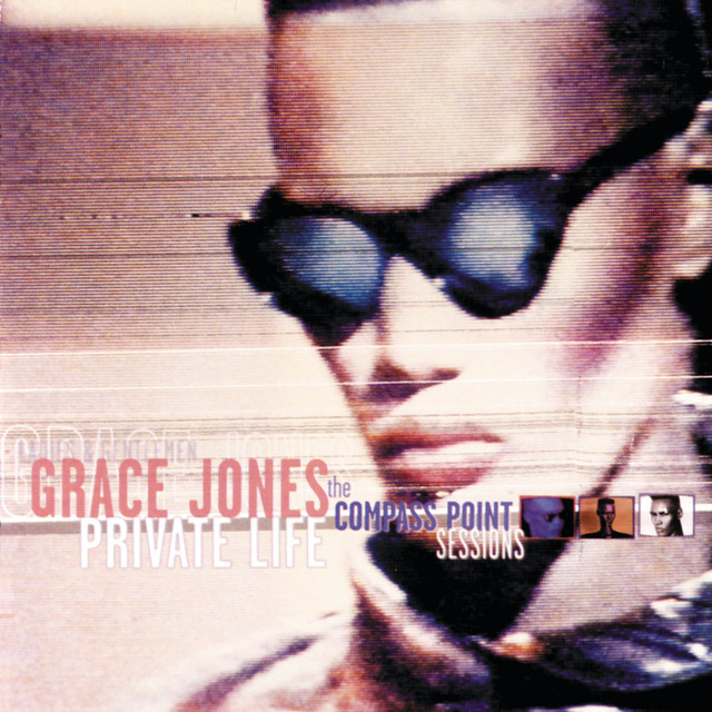 کاور آهنگ Private Life - Dub Version از Grace Jones